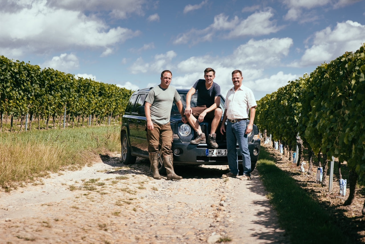Sauvignon Blanc Sekt brut - 6 x 0,75 l