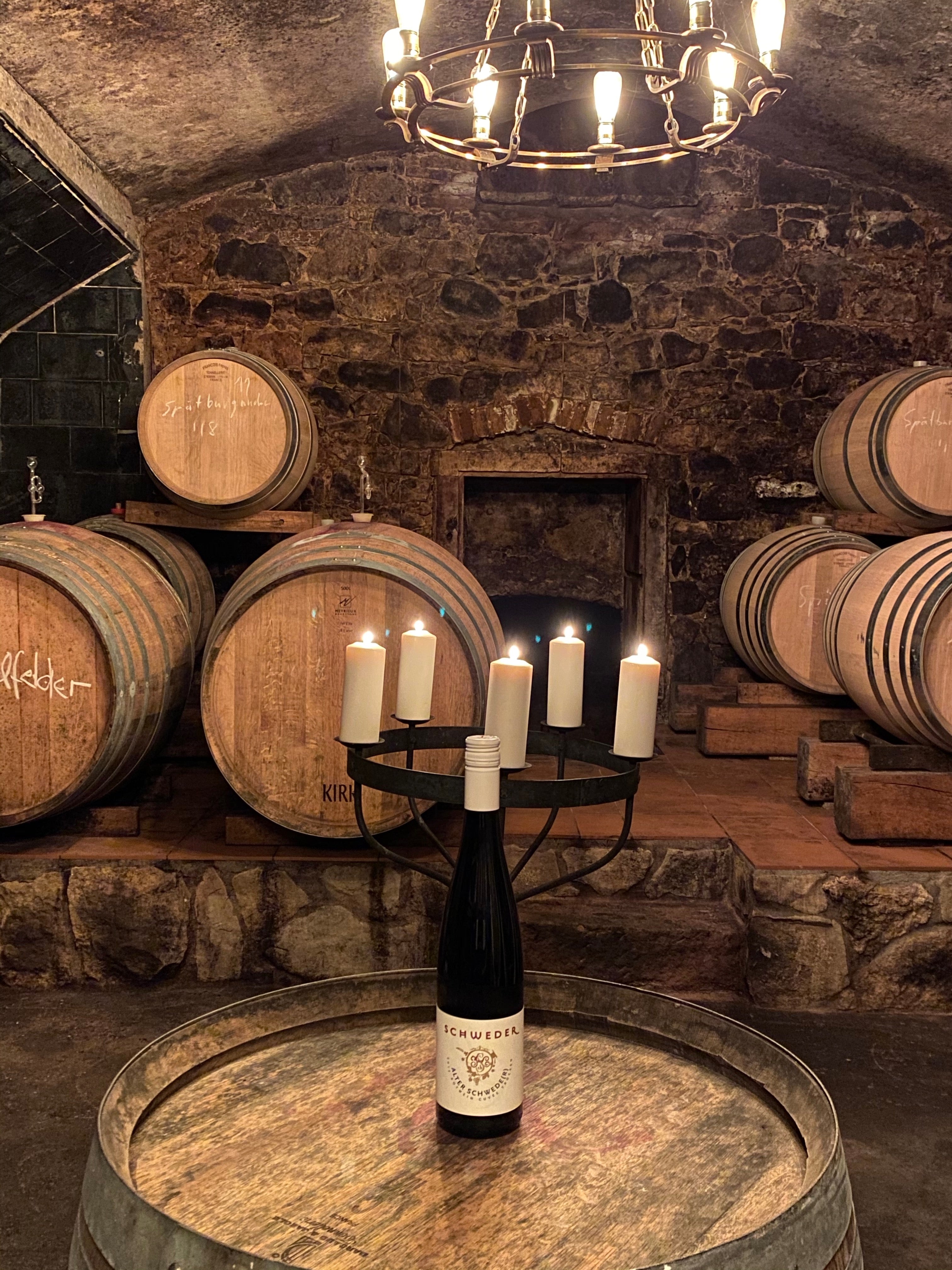 Alter Schwede(r) Sauvignac trocken Zukunftswein 2023 - 6 x 0,75 l