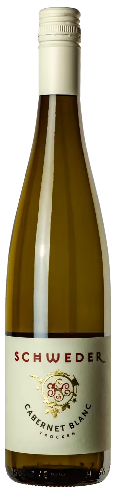 Cabernet Blanc trocken Zukunftswein 2021 - 6 x 0,75 l